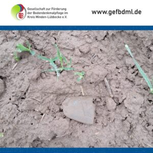 Foto: Daniel Bake/GeFBdML e.V.