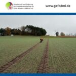 Foto: Marc Redeker/GeFBdML e.V.