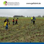 Foto: Marc Redeker/GeFBdML e.V.